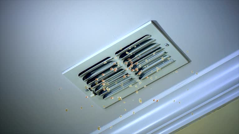 Best Air Duct Cleaning Company Near Me  in Fredonia, AZ
