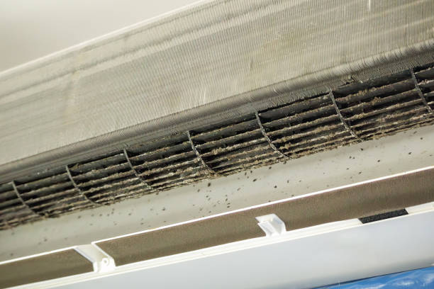 Best Dryer Vent Cleaning Services  in Fredonia, AZ